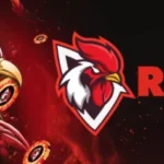 rooster bet slot